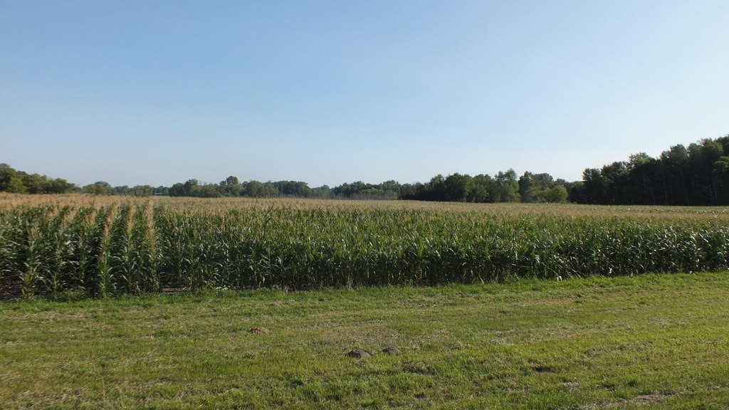 Picture 19