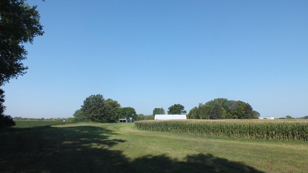 Picture 16