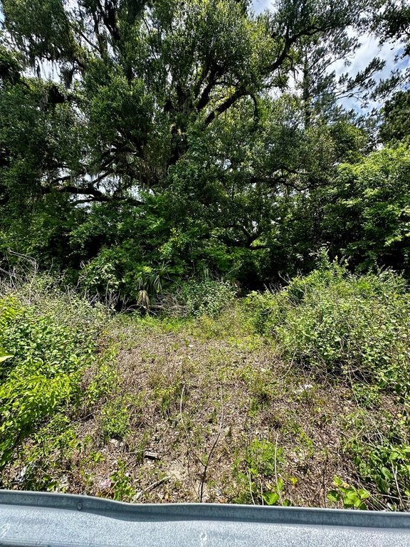 Picture 3