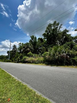 Cross City Land Parcel