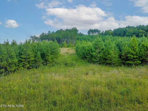 Lots & Acreage, Madisonville, TN