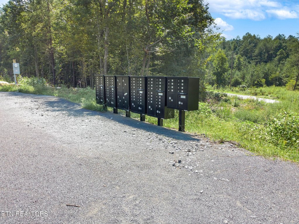Picture 4