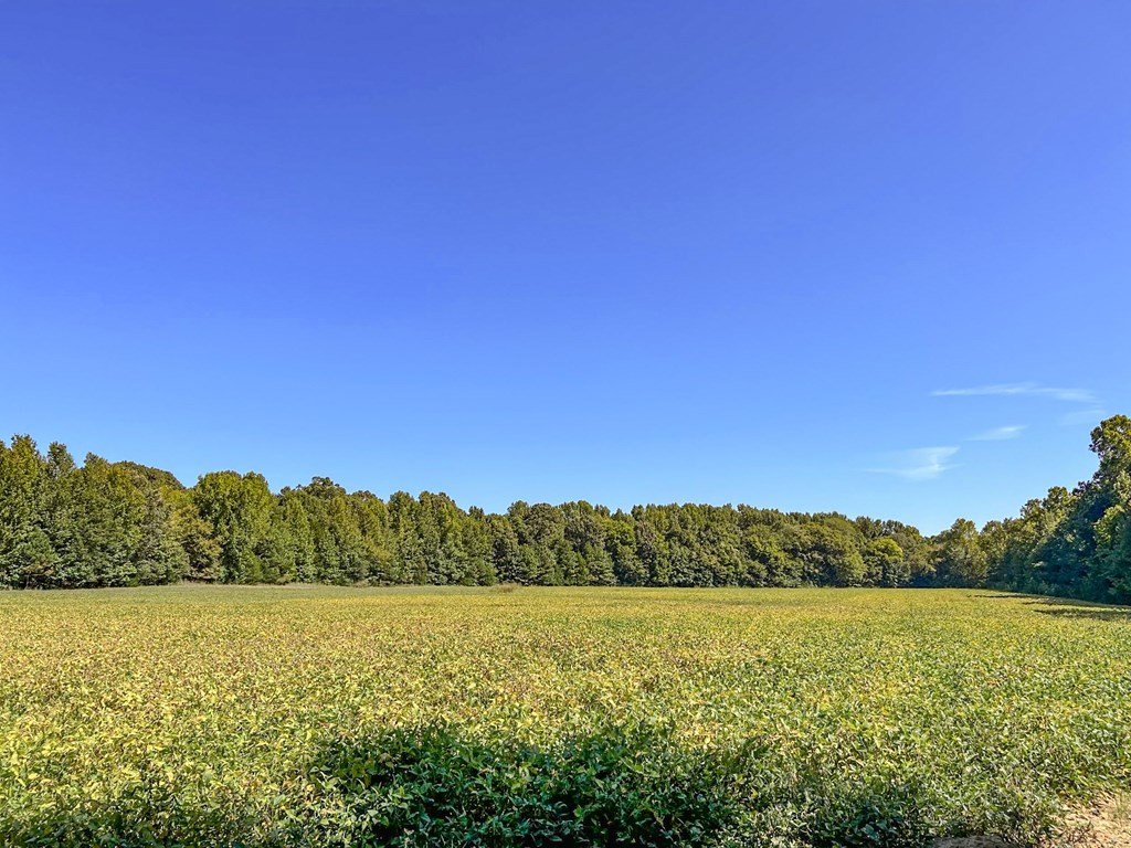 Picture 27