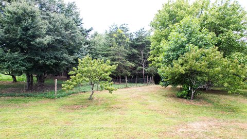 Trenton, GA Land For Sale