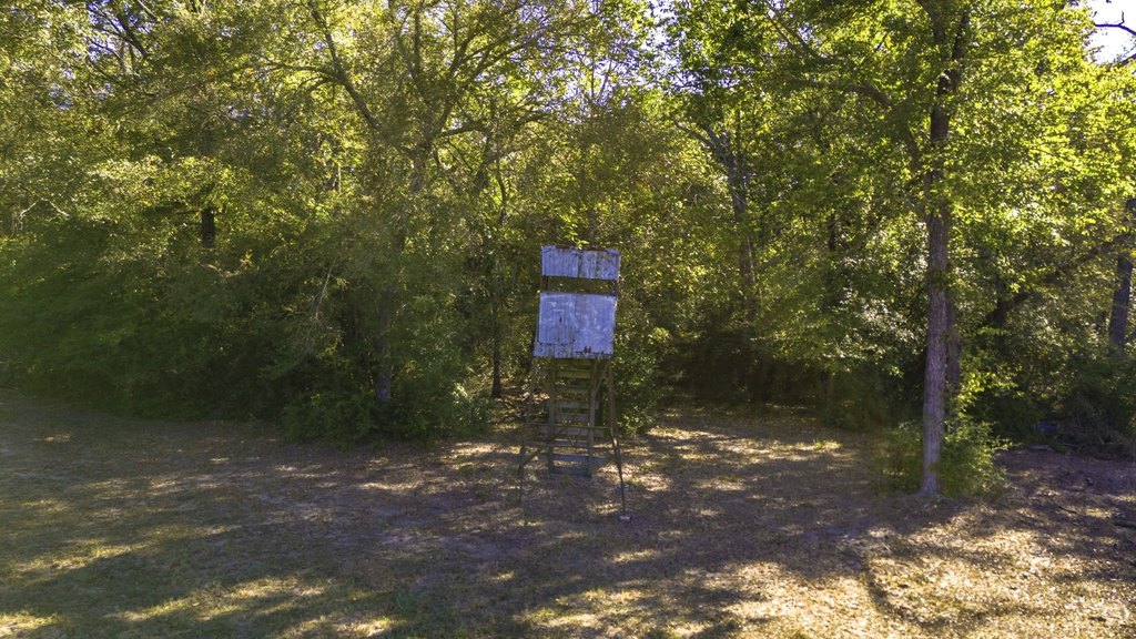 Picture 23
