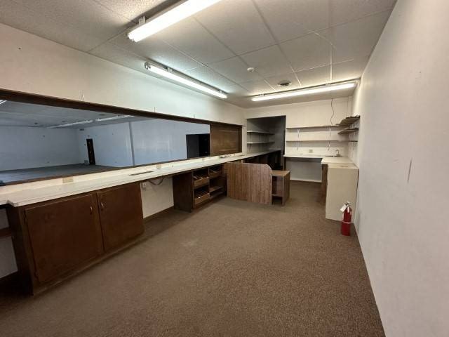 Picture 5