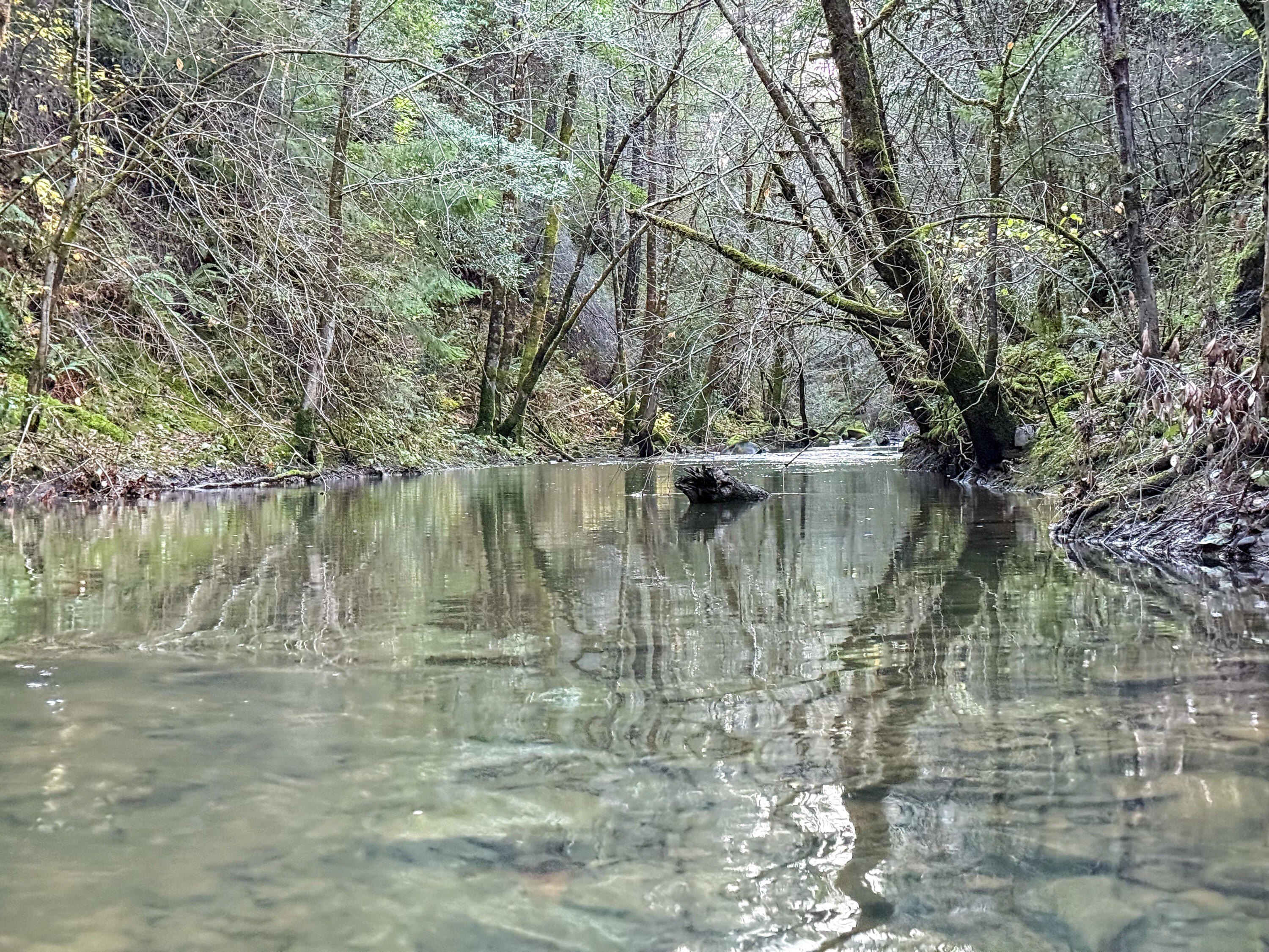 Redway Land with Redwood Creek