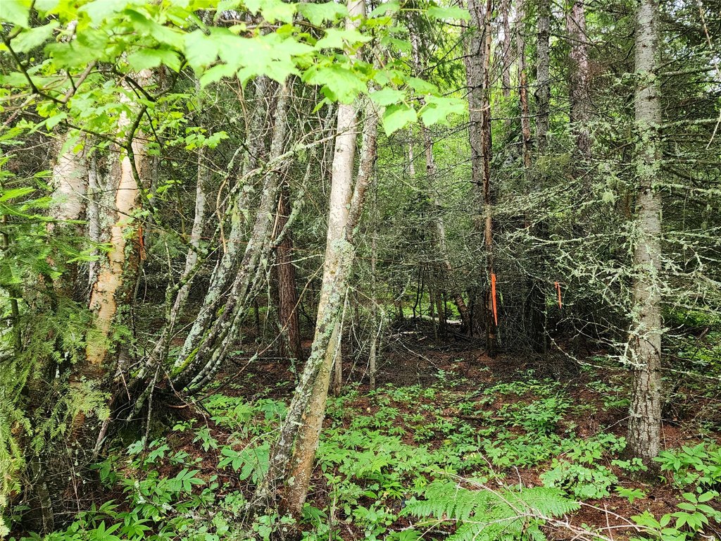 Picture 7