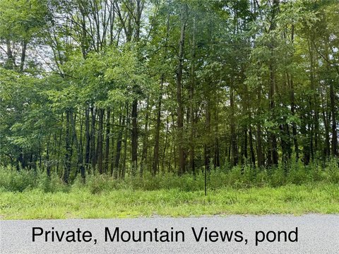 Land, Margaretville, NY
