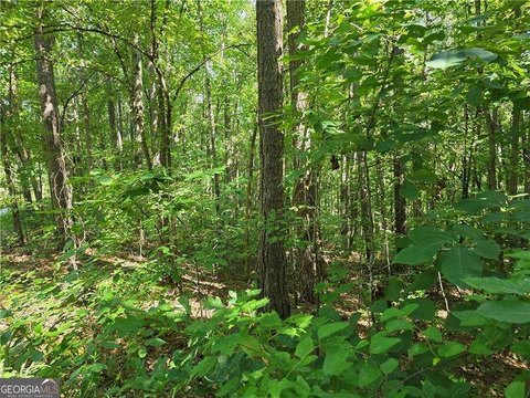 Wooded Lots with Creek Frontage