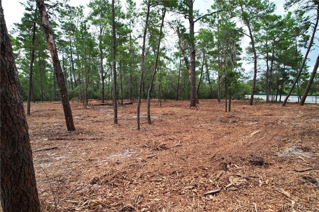Picture 2