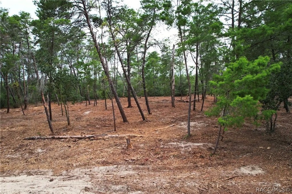 Picture 4