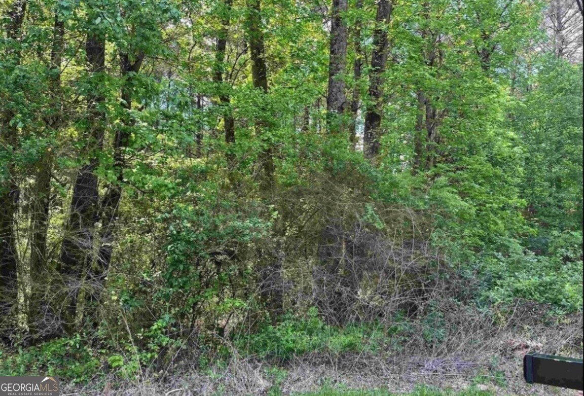 Vacant Land Near Lenora Park