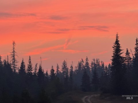 79.8 Acres Ready for Development