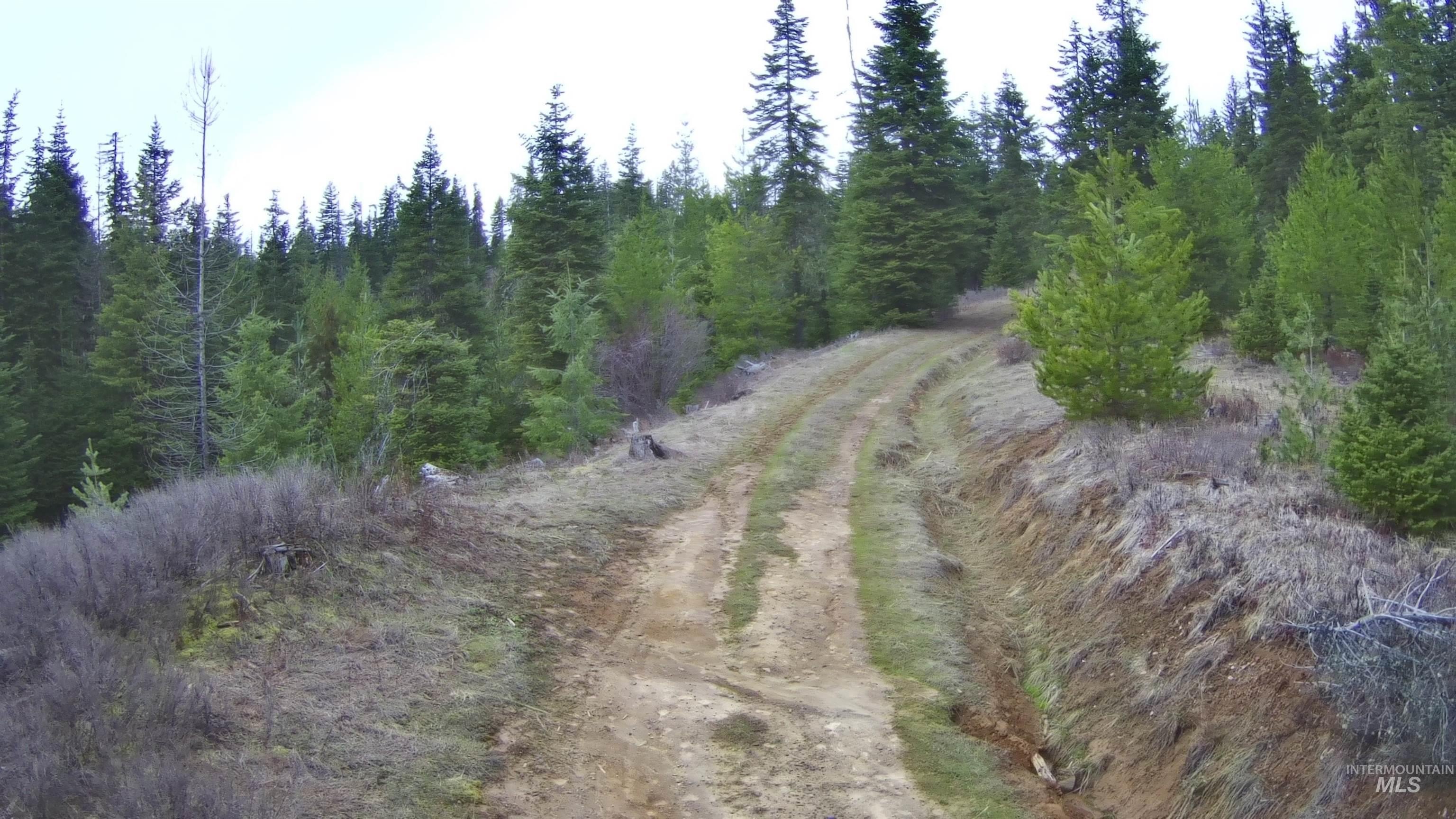 79.8 Acres Ready for Development