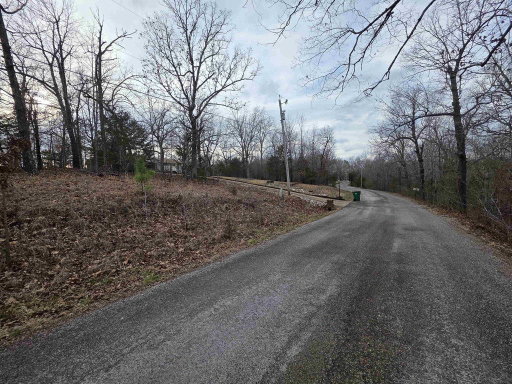Picture 5
