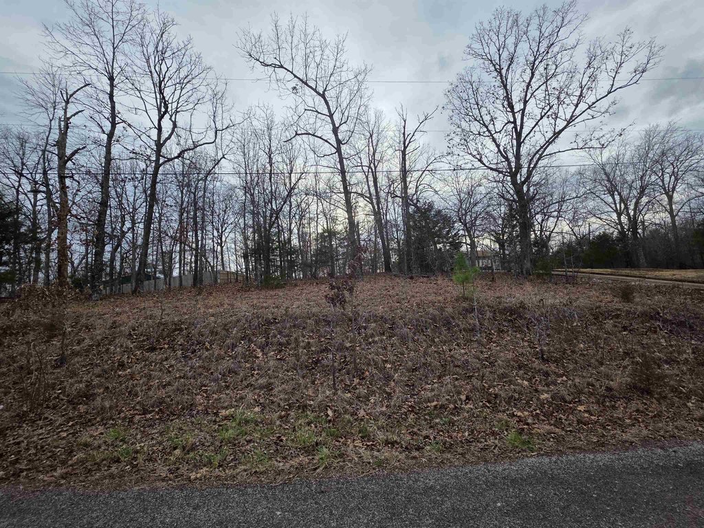 Picture 8