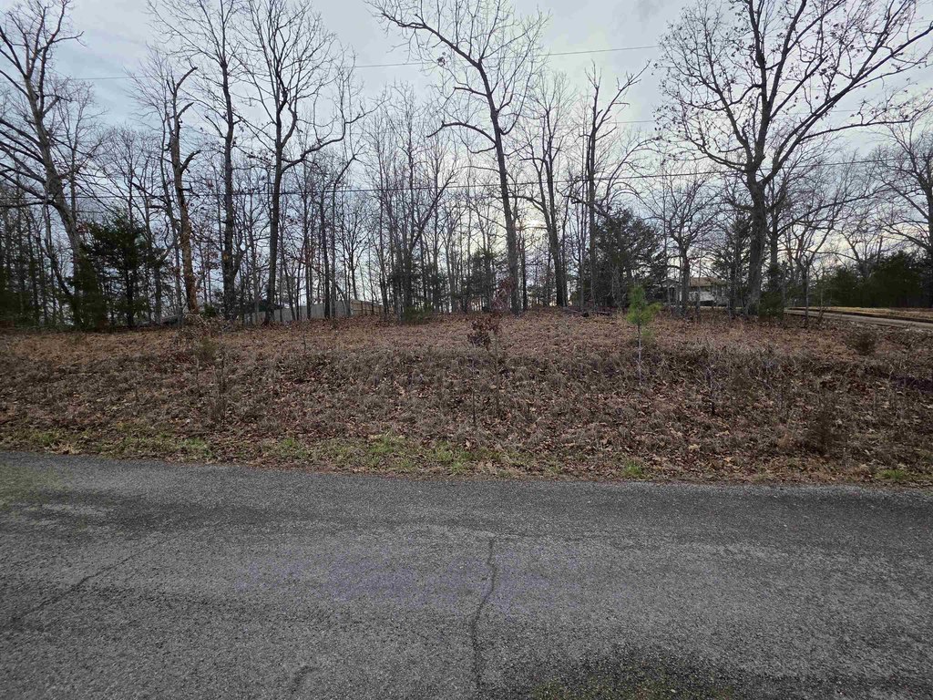 Picture 4