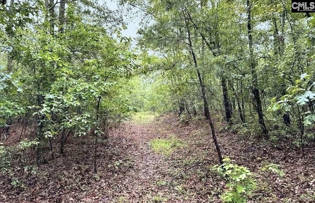 Picture 2