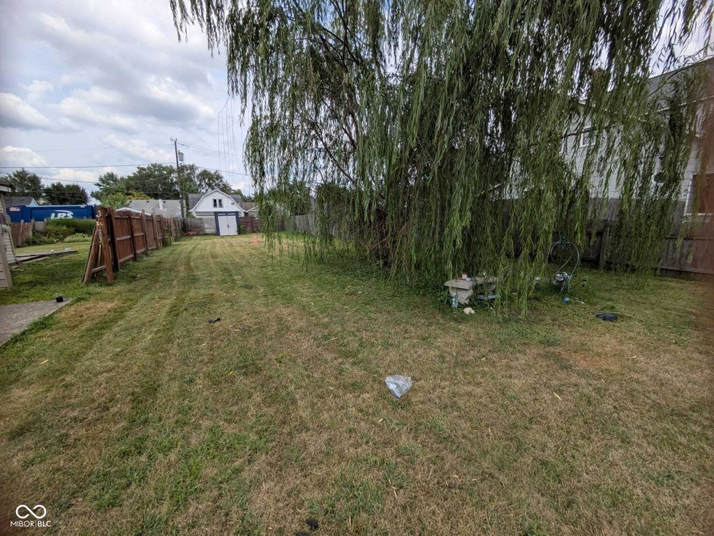 Picture 4