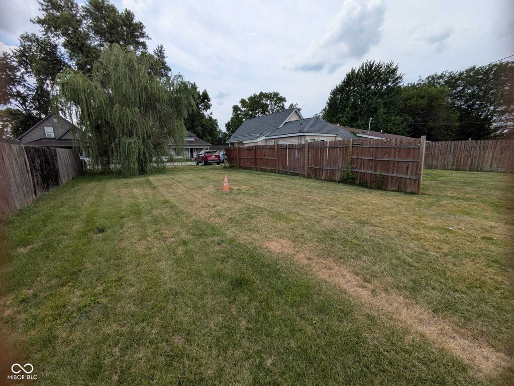Picture 3