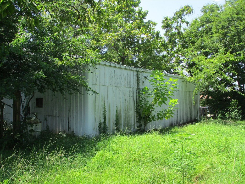 Picture 6