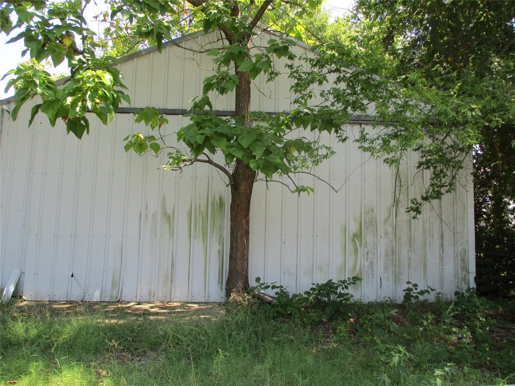 Picture 9