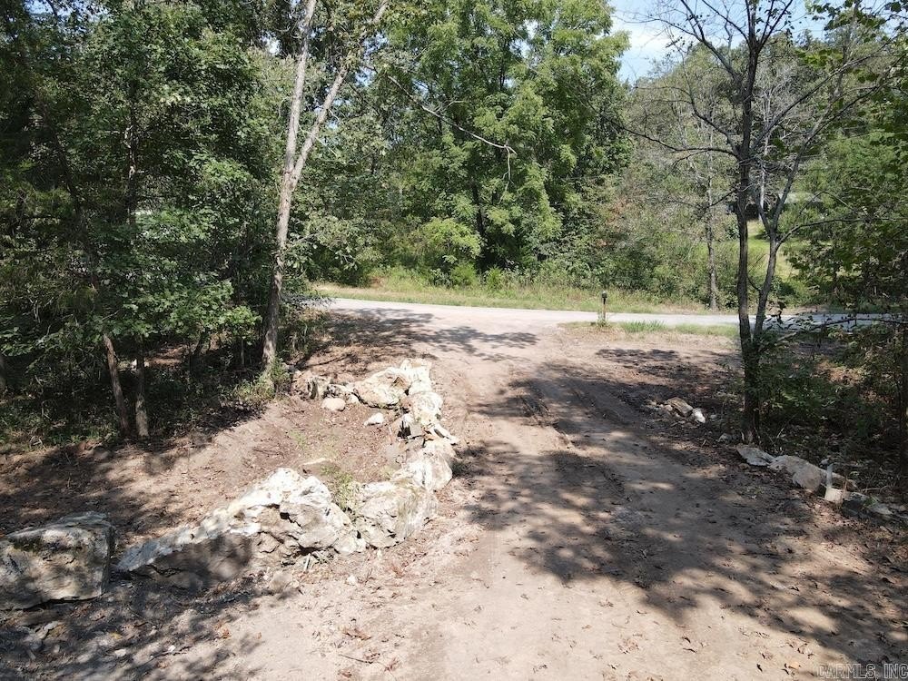 Picture 12