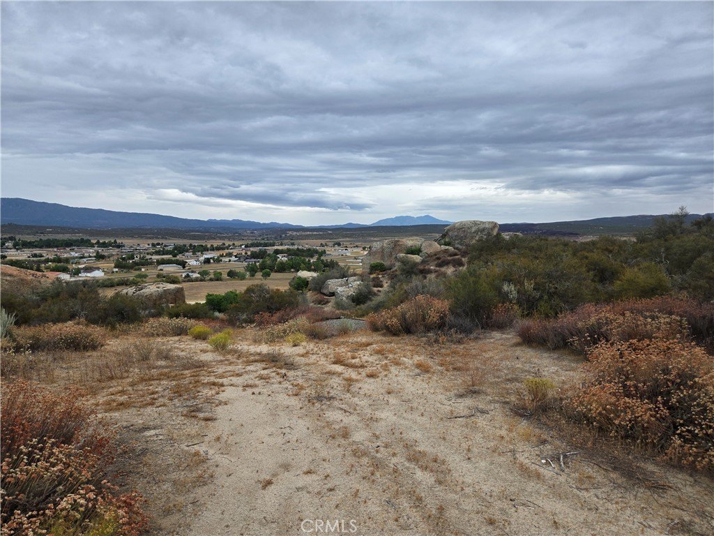 Picture 19