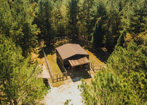 Lafayette County Hunting and Timber