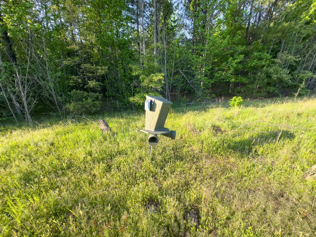 Picture 48