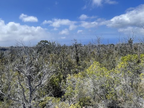 Ocean View Acreage Opportunity