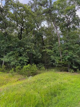 LAND - Heber Springs, AR