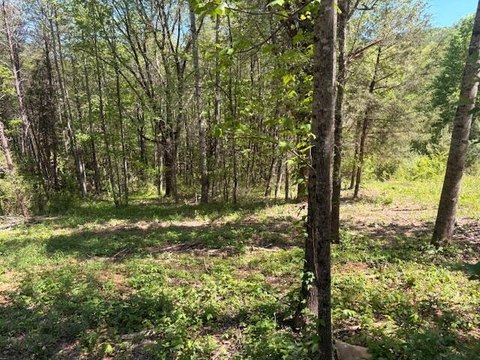 Land with Building in Niota