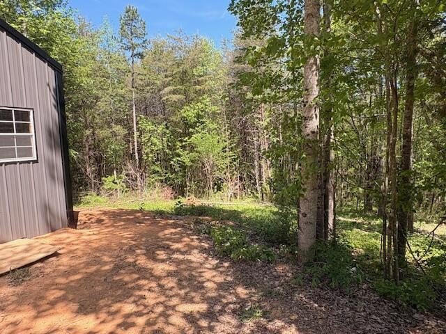 Picture 12
