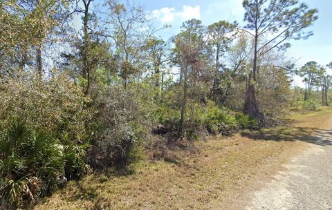 Vacant Land Near Lake June