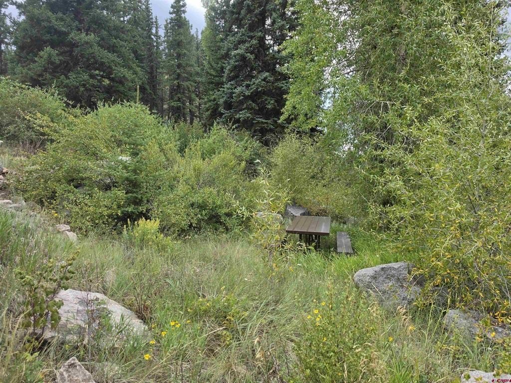 Picture 19