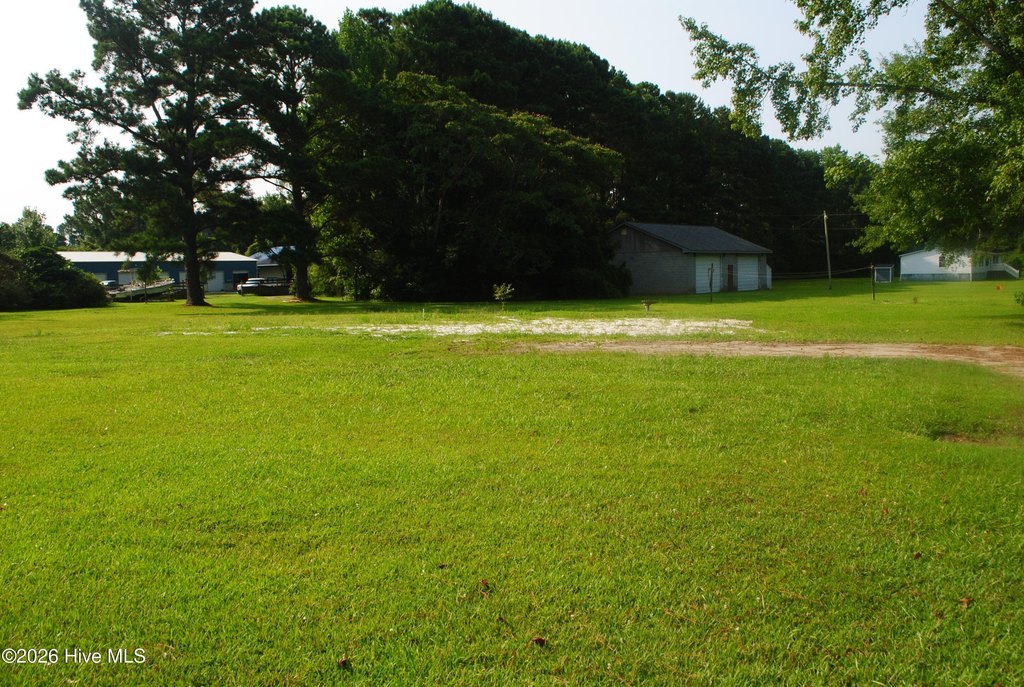 Picture 4