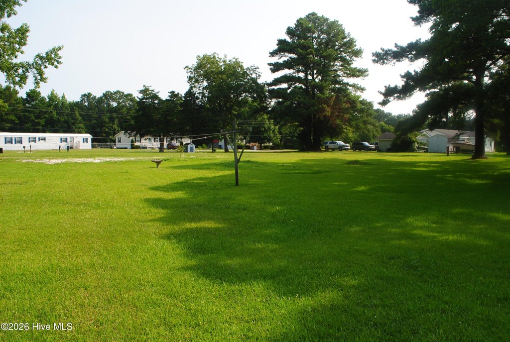 Picture 8