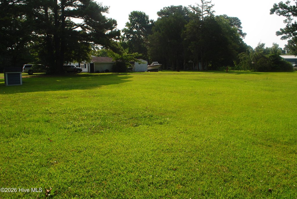 Picture 10