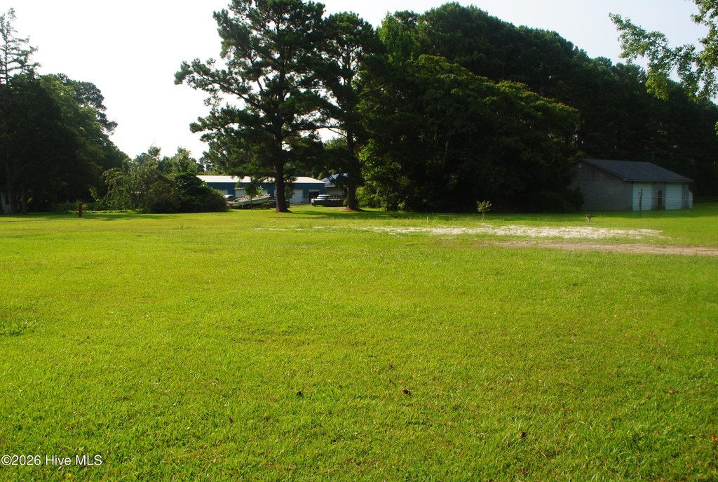 Picture 9