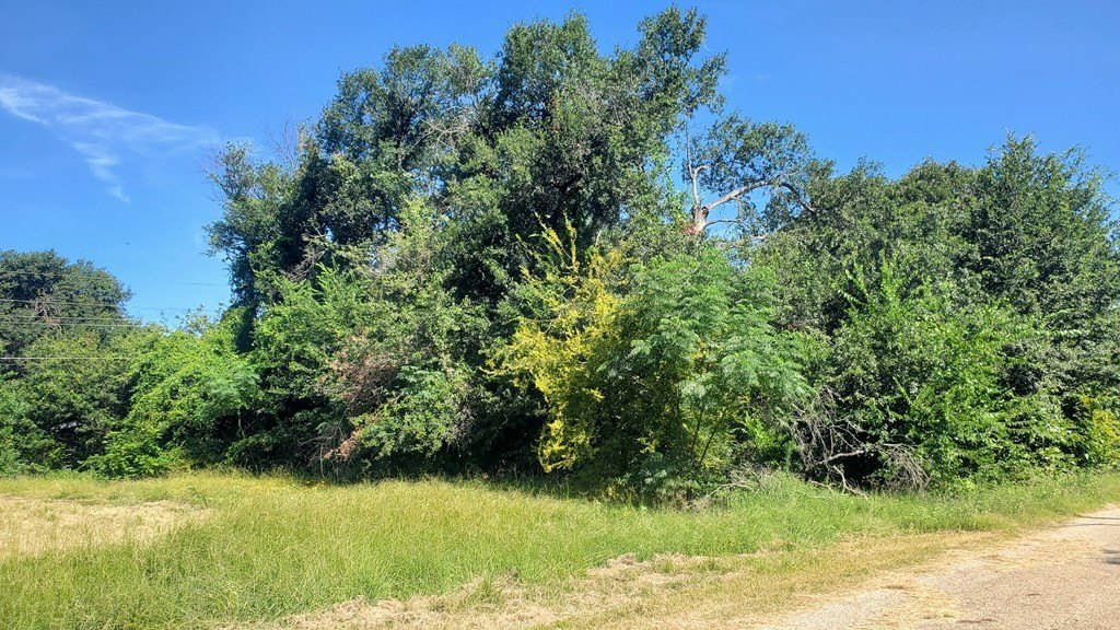 Picture 6