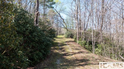 Highlands NC Homesite Opportunity