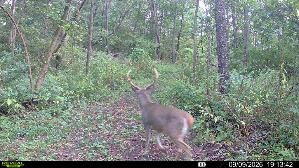 Picture 4