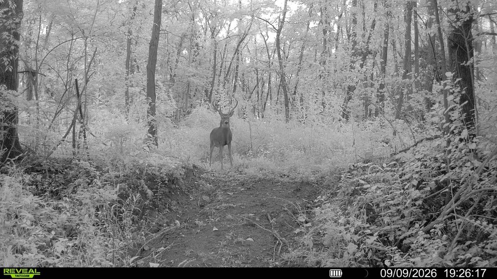 Picture 3