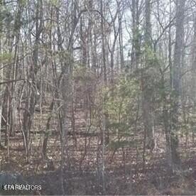 Fairfield Glade Buildable Lot