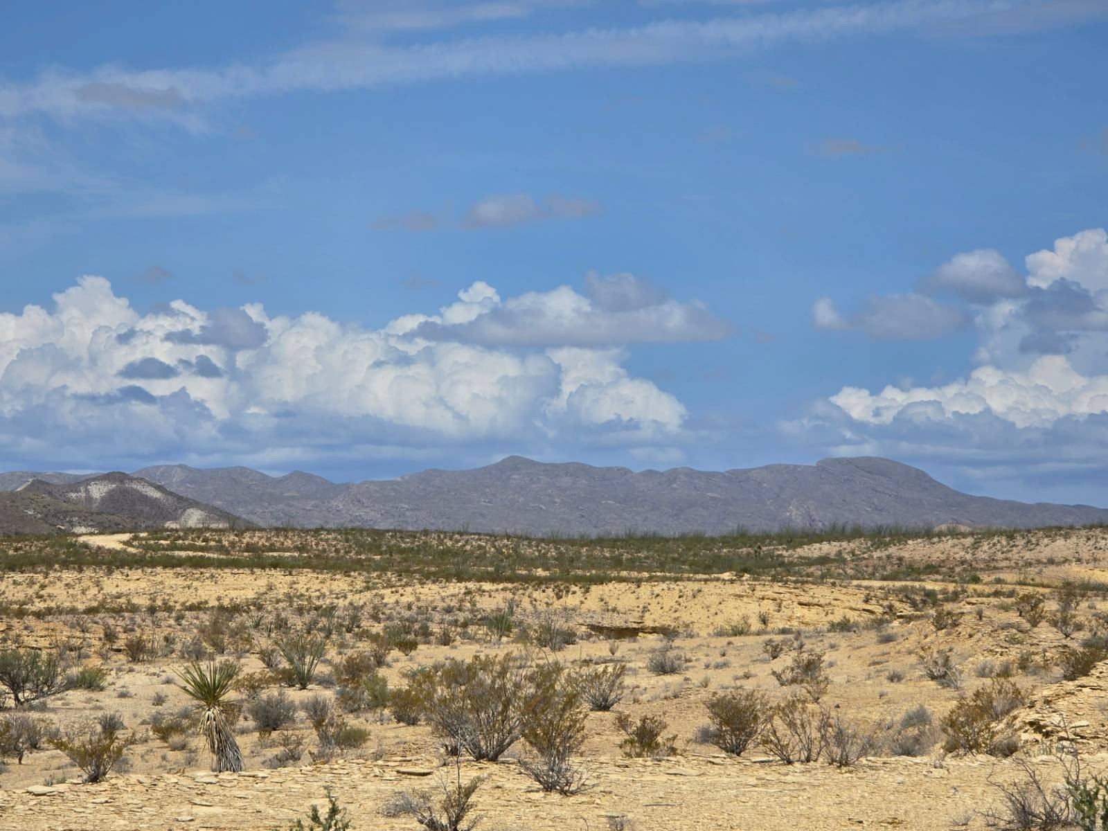 Scenic 20-Acre Vacant Land
