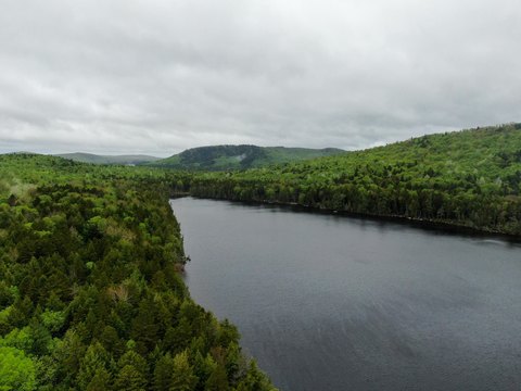 Waterfront Land Parcel on Upper Pug