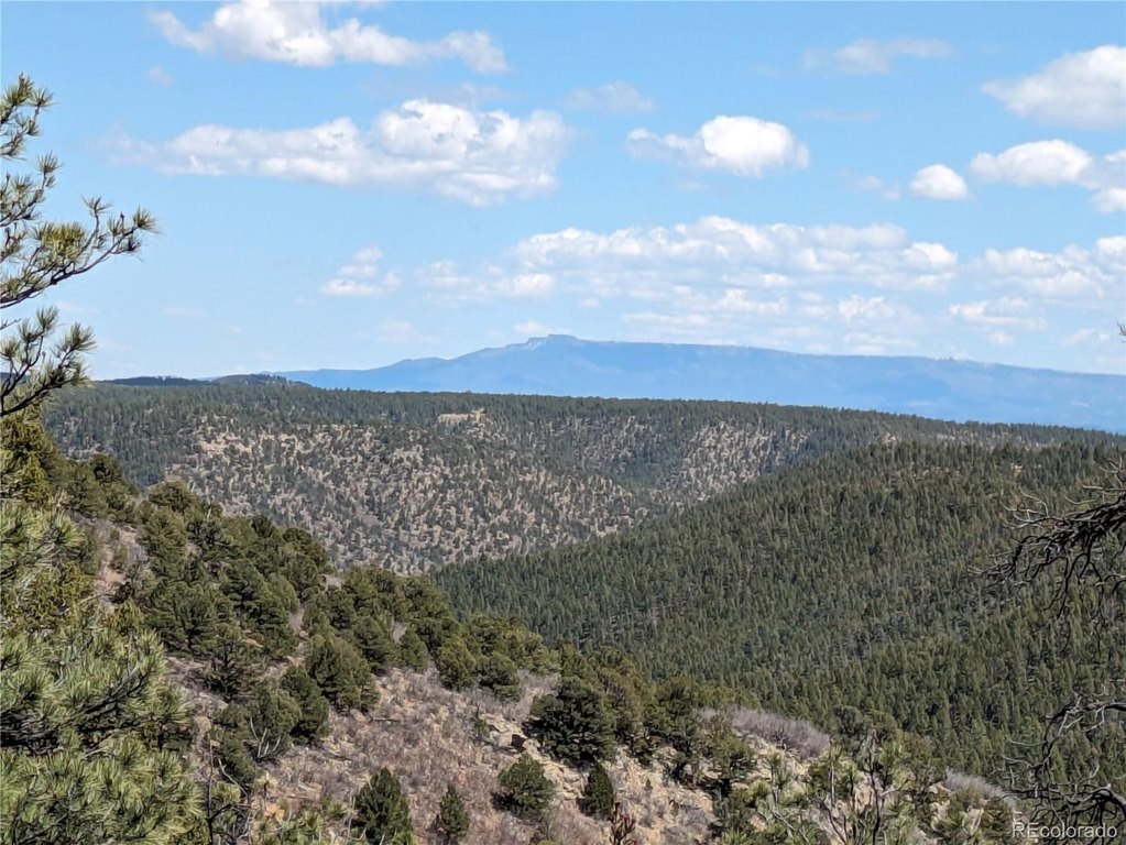 Picture 30
