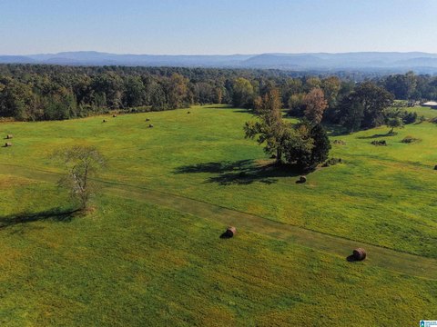 LAND/LOTS, ANNISTON, AL